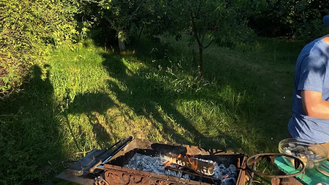 户外烹饪，BBQ概念视频素材