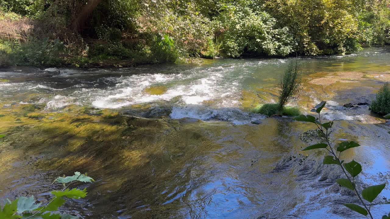 美丽的河流在森林里视频素材