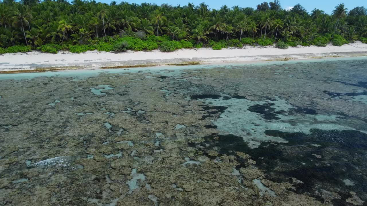 马尔代夫岛的海岸线上有棕榈树和海洋。无人机的观点视频下载