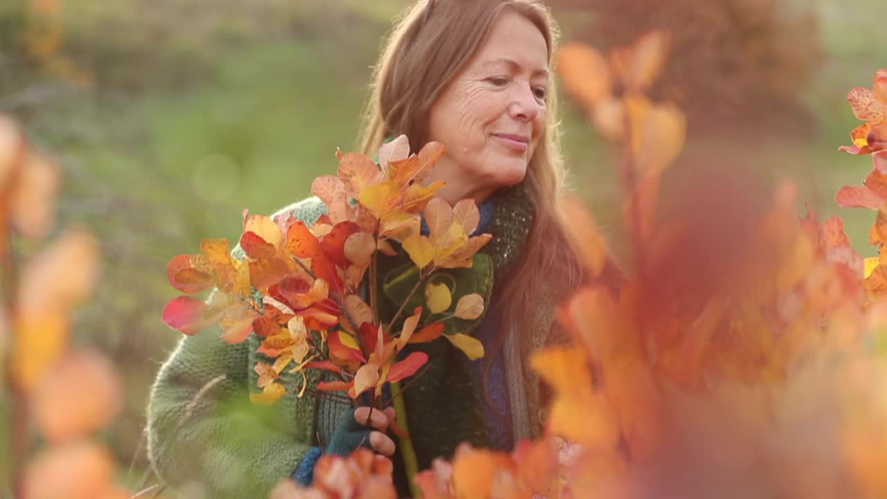 成熟的女人拿着欧洲烟树的树枝，有着美丽的秋色视频下载