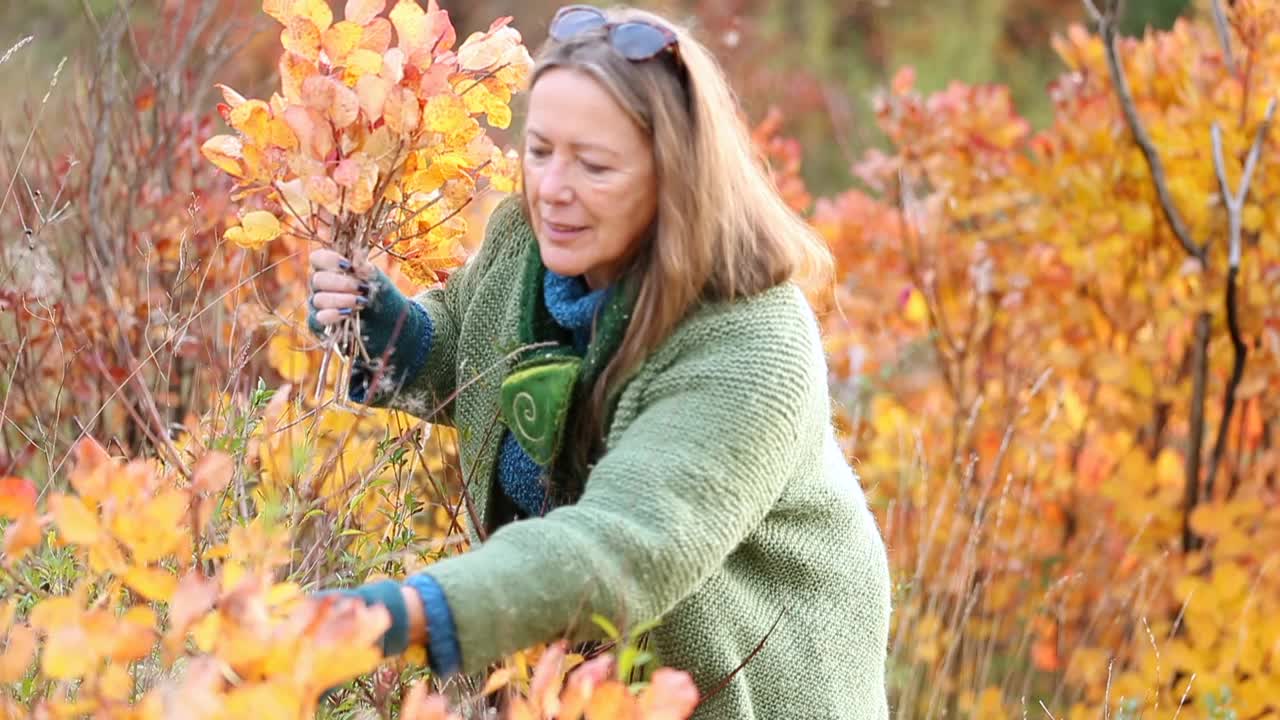 成熟的女人拿着欧洲烟树的树枝，有着美丽的秋色视频下载