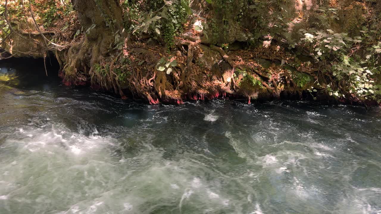 美丽的河流在森林里视频下载