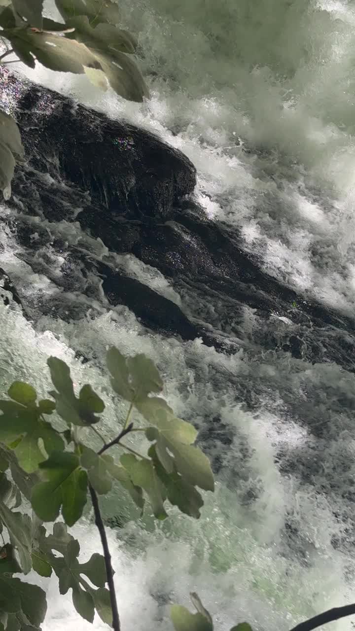 美丽的河流在森林里视频下载