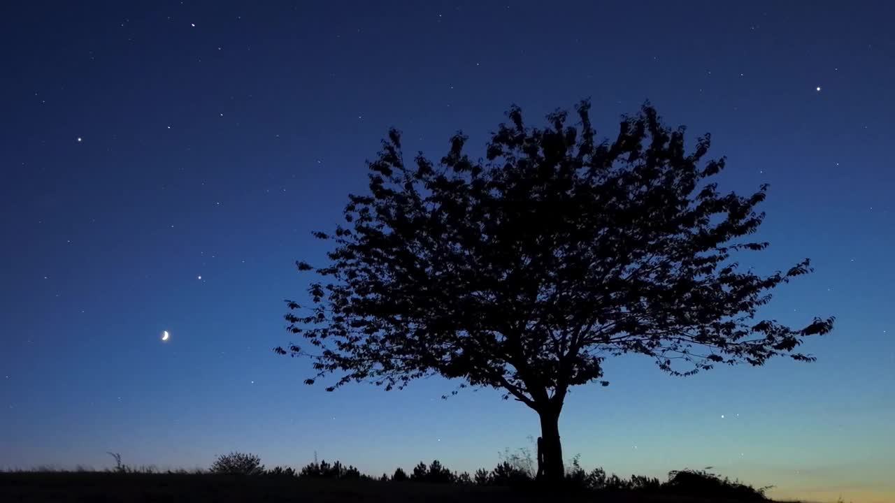 乡村的剪影下的星星，流星的痕迹和月光。视频下载