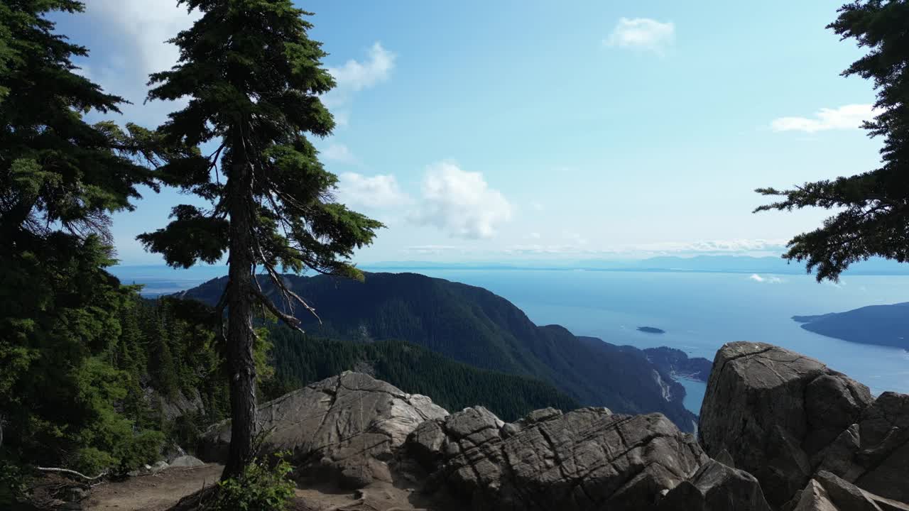 山景和海景，树木。加拿大不列颠哥伦比亚省。视频素材