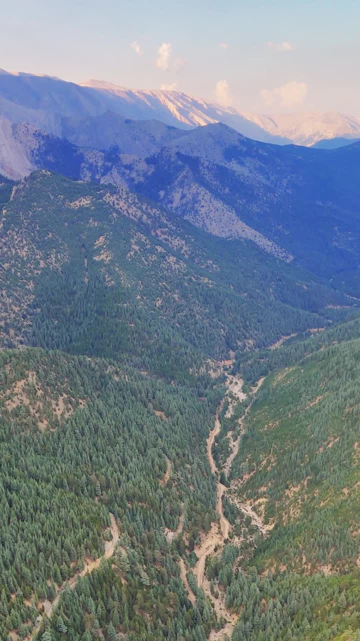 移动的阴影掠过郁郁葱葱的山谷，露出下面蜿蜒的道路。阳光透过树木，创造了一个宁静的景观视频素材