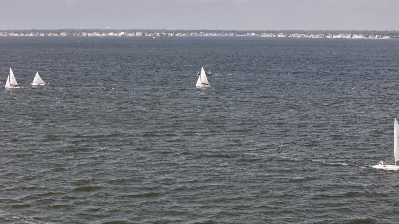 帆船在海湾里航行视频下载