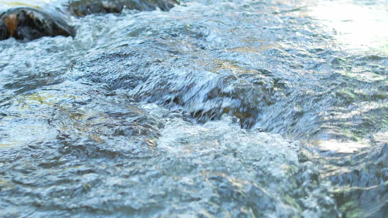 热带雨林自然溪流中的地表水。视频素材