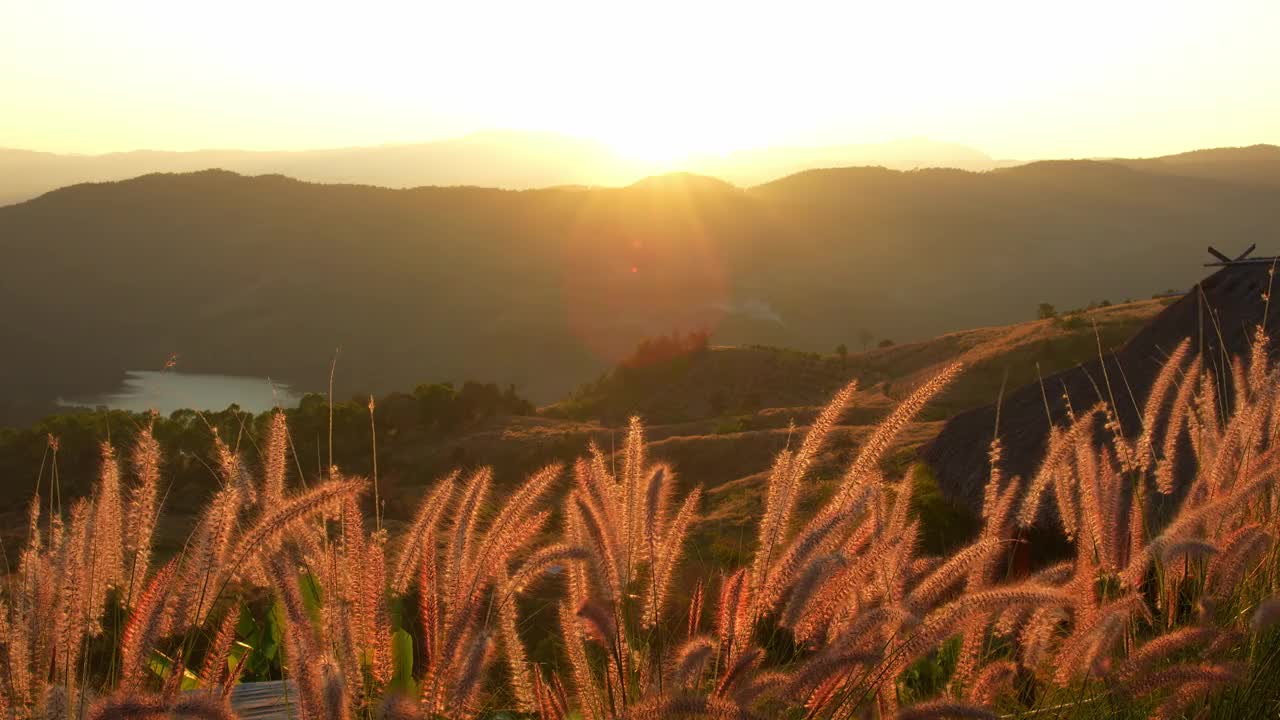 夕阳西下时，金色的阳光穿过山顶的草地。视频素材