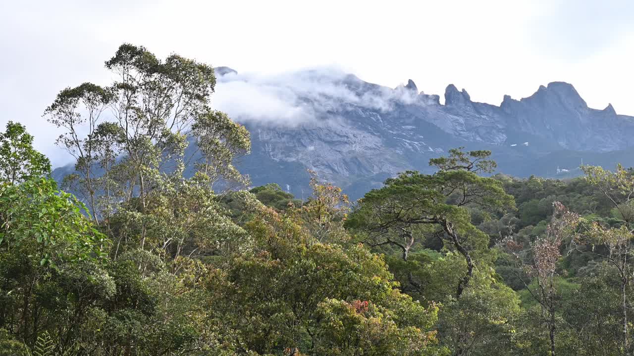 基纳巴卢山位于马来西亚婆罗洲沙巴州西海岸的基纳巴卢公园，是马来西亚最高的山脉。视频下载