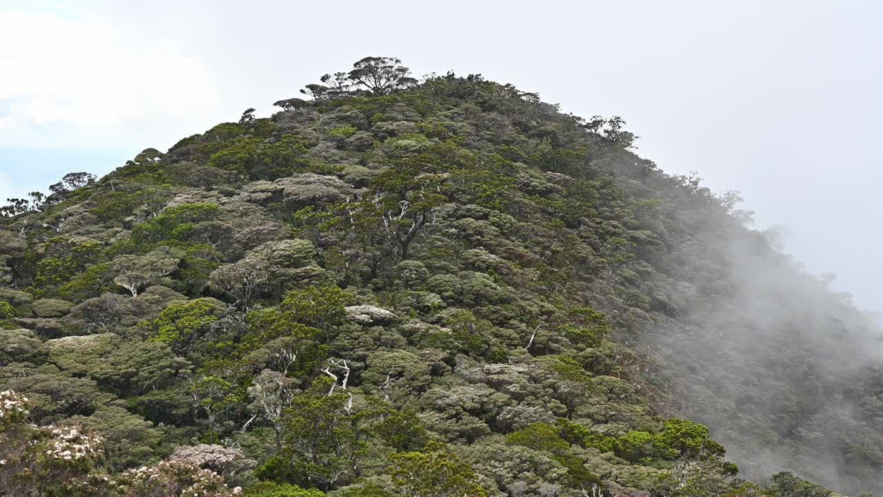 马来西亚基纳巴卢山的自然风光。视频下载