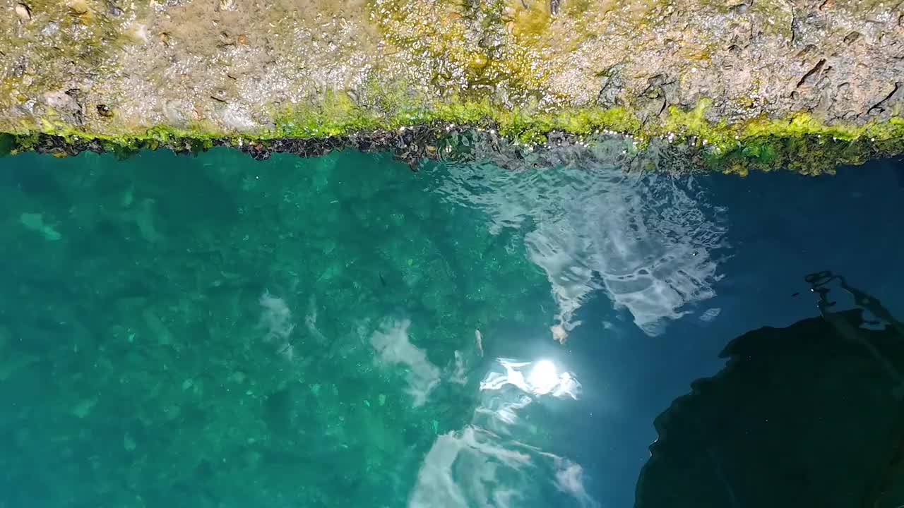 海视频下载