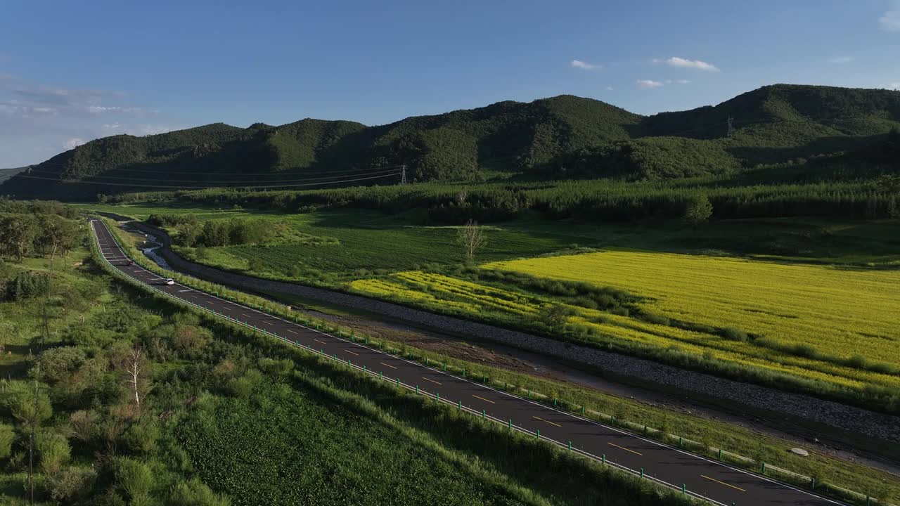 高原农村的油菜花视频下载