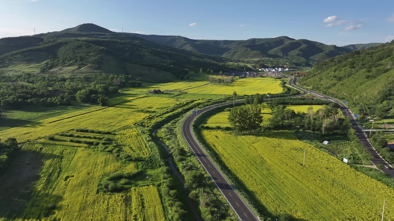 高原农村的油菜花视频下载