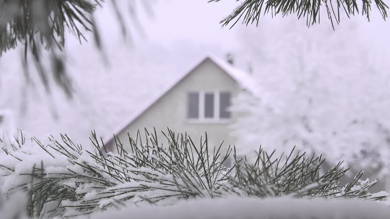 雪中的一根松树枝在房子模糊的背景上。视频下载