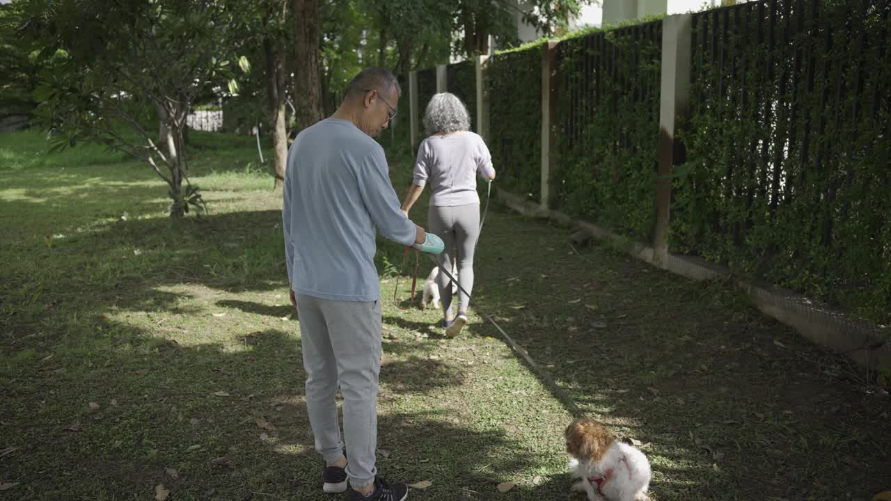 一对亚洲老年夫妇带着狗在公园散步视频素材