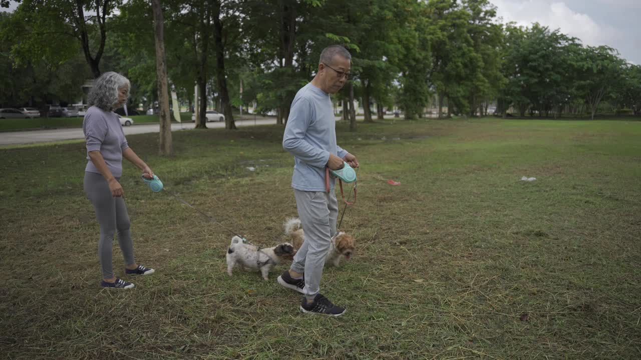 一对亚洲老年夫妇带着狗在公园散步视频素材