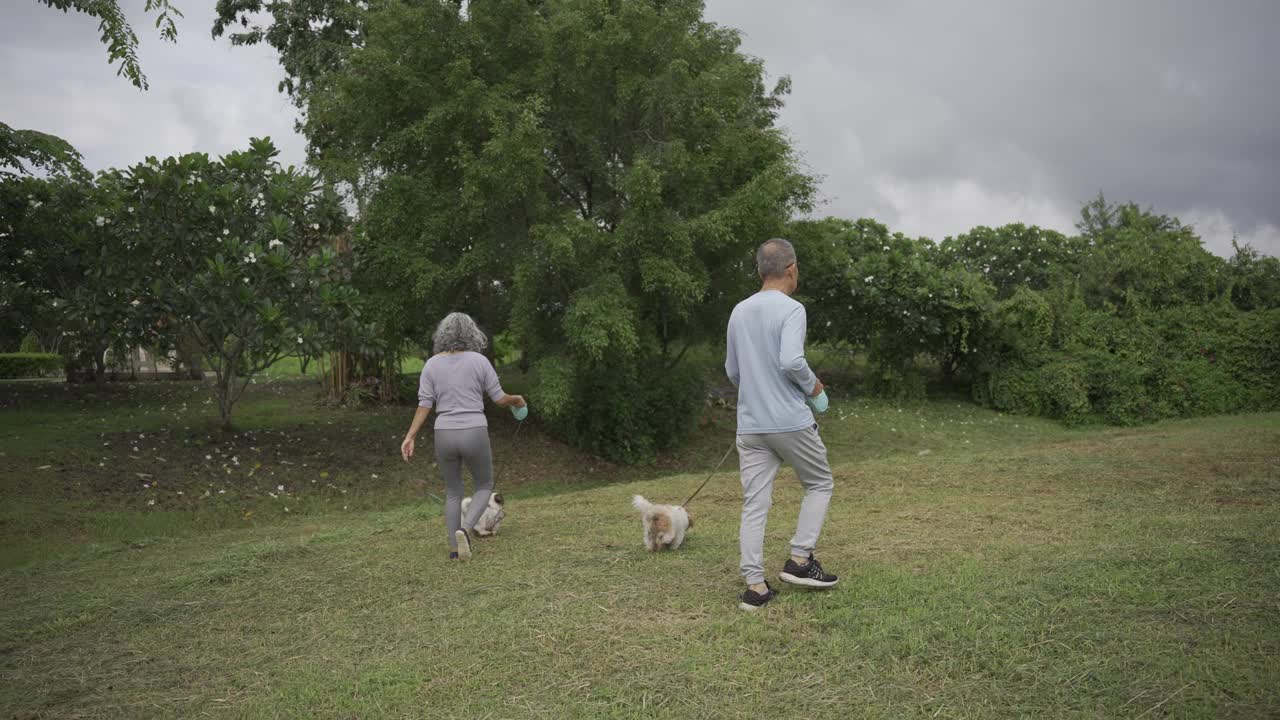 一对亚洲老年夫妇带着狗在公园散步视频素材