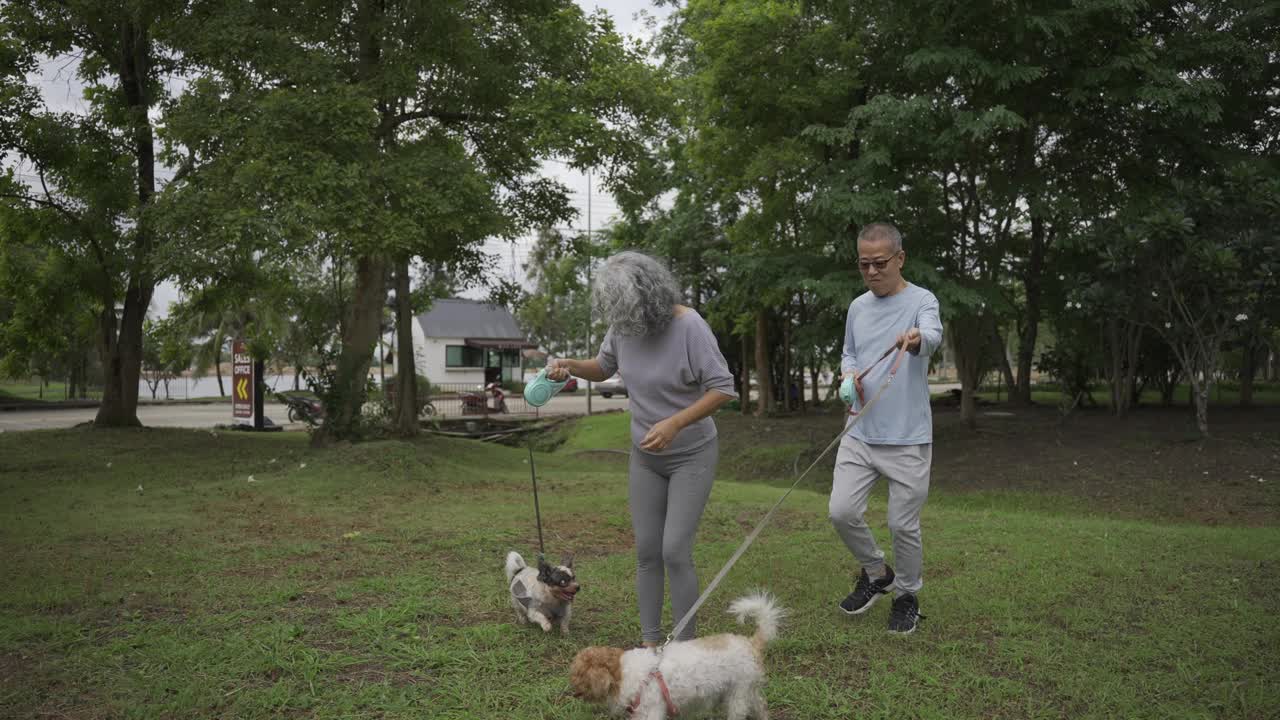 一对亚洲老年夫妇带着狗在公园散步视频下载