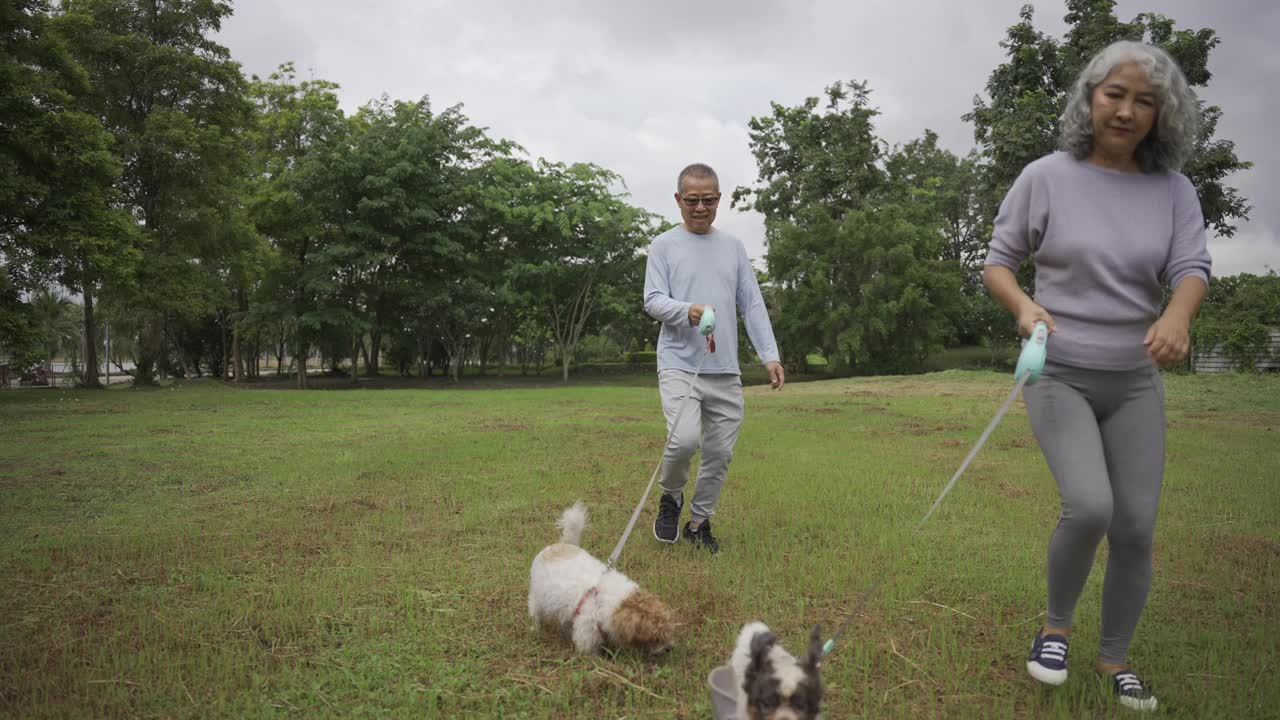 一对亚洲老年夫妇带着狗在公园散步视频下载