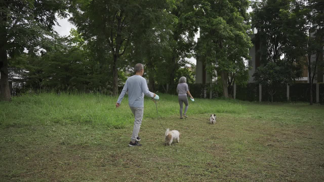 一对亚洲老年夫妇带着狗在公园散步视频下载