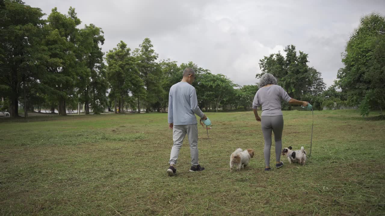 一对亚洲老年夫妇带着狗在公园散步视频素材