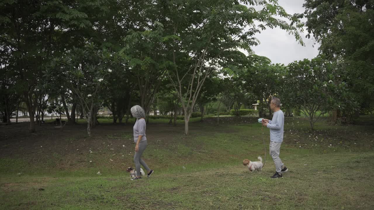 一对亚洲老年夫妇带着狗在公园散步视频下载