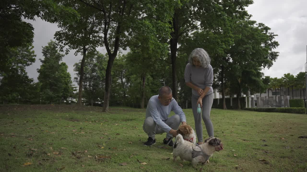 一对亚洲老年夫妇带着狗在公园散步视频下载