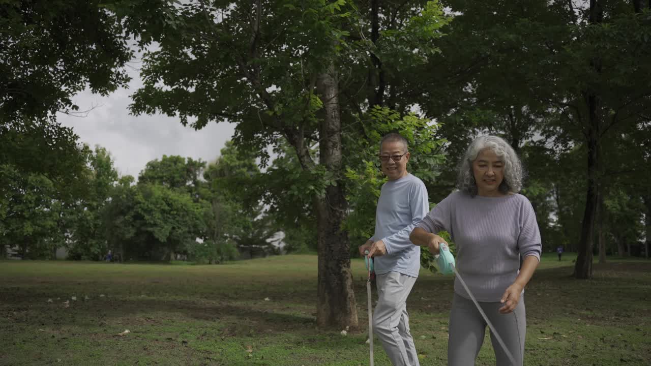 一对亚洲老年夫妇带着狗在公园散步视频下载