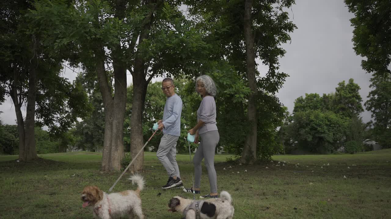 一对亚洲老年夫妇带着狗在公园散步视频下载