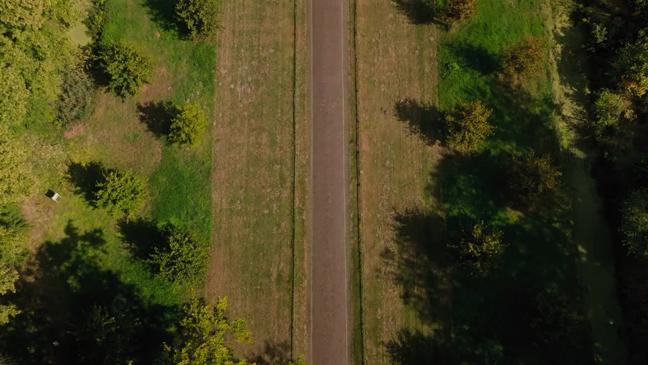 鸟瞰一条长着长树的道路视频素材