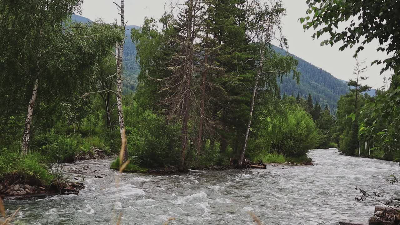 青山映衬着碧绿的山河视频素材