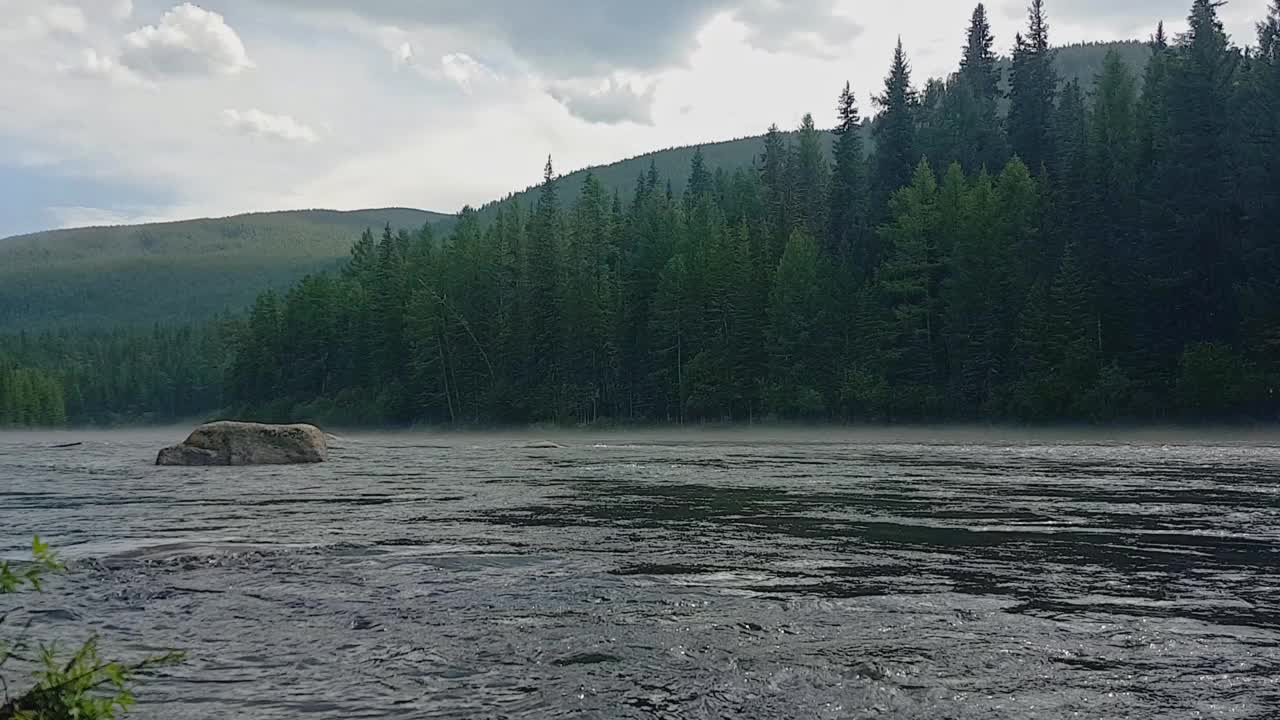 夏日清晨，山间河流上的雾气逐渐消散。视频下载