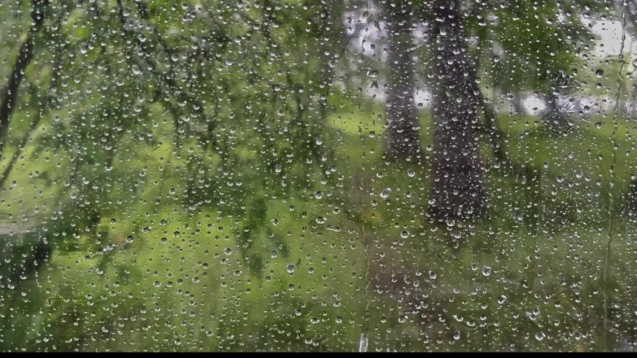 雨滴顺着窗户流下来。森林的景色。视频下载