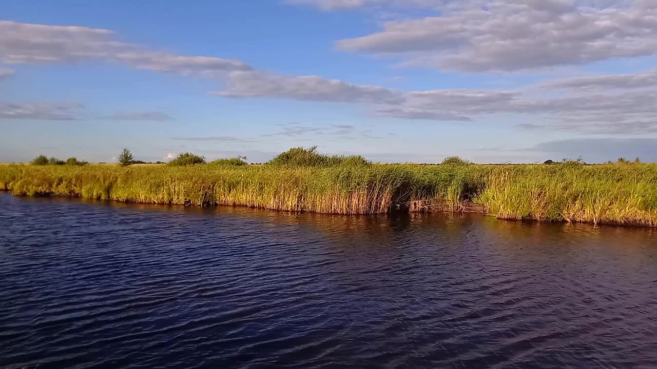 河上落日美景。芦苇沿着河床生长。有风的。钓鱼的地方，安静的狩猎。夏天。乌克兰视频下载