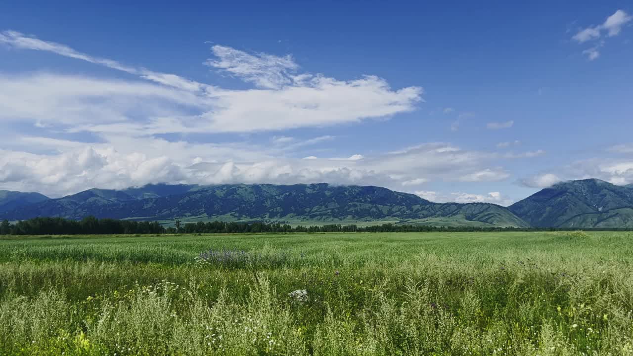 山谷中的高山草地。视频下载