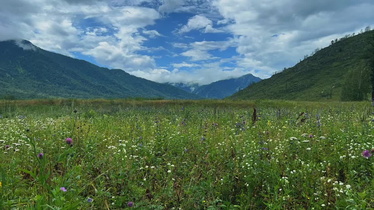 山谷中的高山草地。延时视频。视频下载