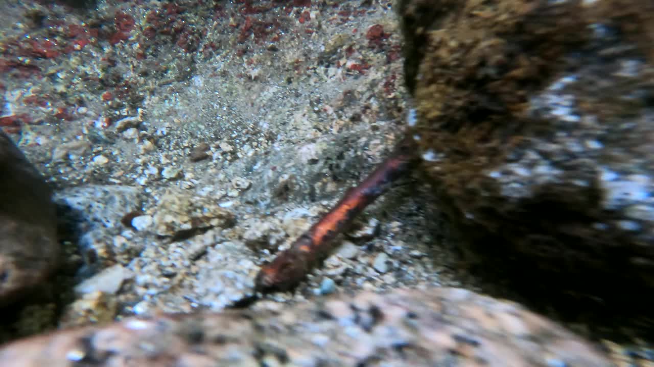 透明山河的水下拍摄。水中相机视频下载