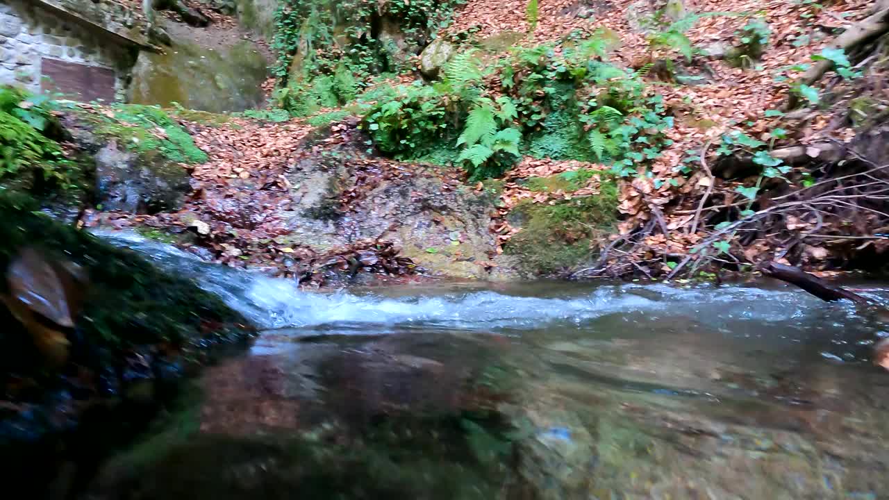 透明山河的水下拍摄。水中相机视频下载