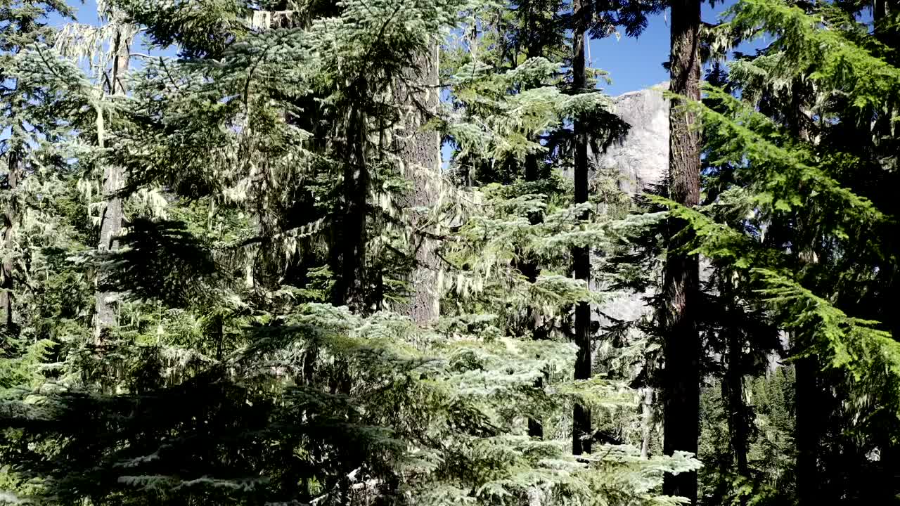 古老的火山核心被称为兔耳视频素材