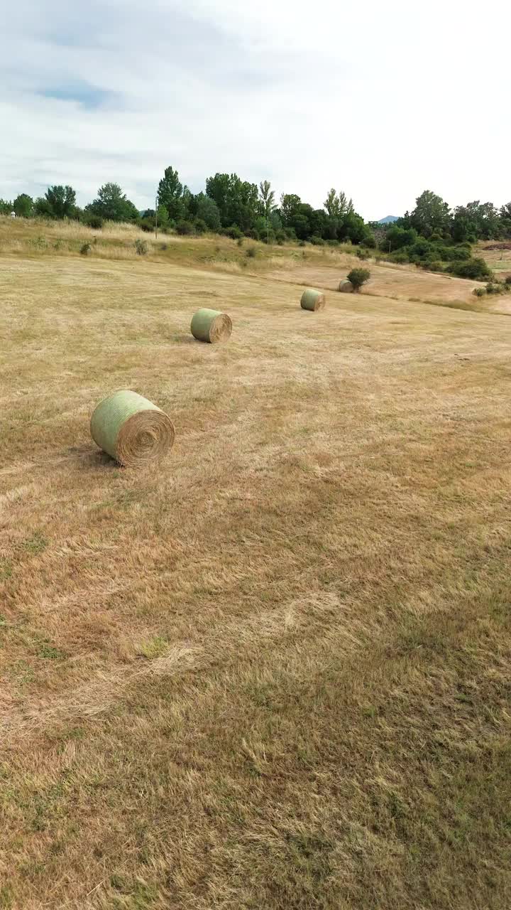 田里有刚收获的草包视频下载