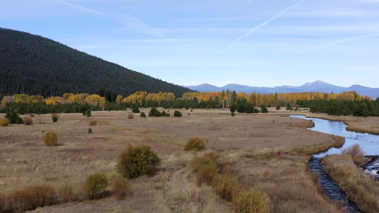 俄勒冈州克拉马斯县美丽的风景，秋天有一条河流穿过干燥的田地视频下载