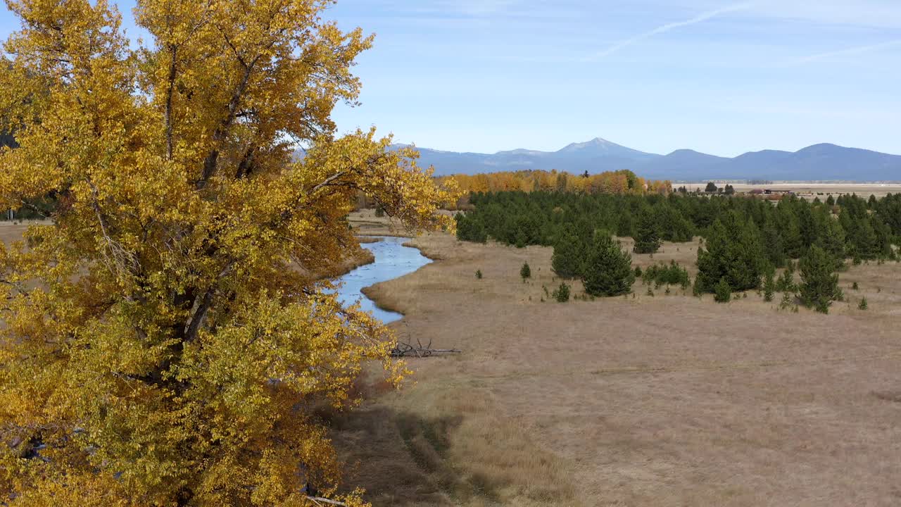 俄勒冈州克拉马斯县美丽的风景，秋天有一条河流穿过干燥的田地视频下载