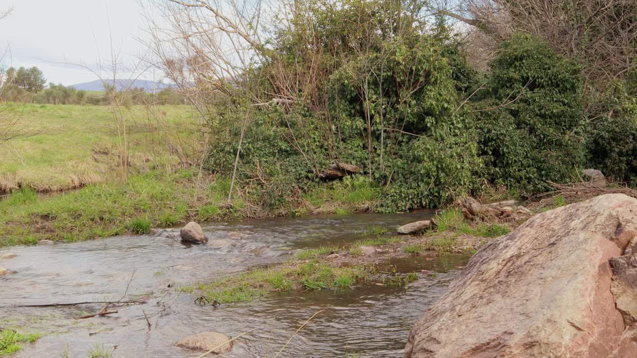 平静的小溪流过绿油油的乡村，周围有岩石和树叶视频下载