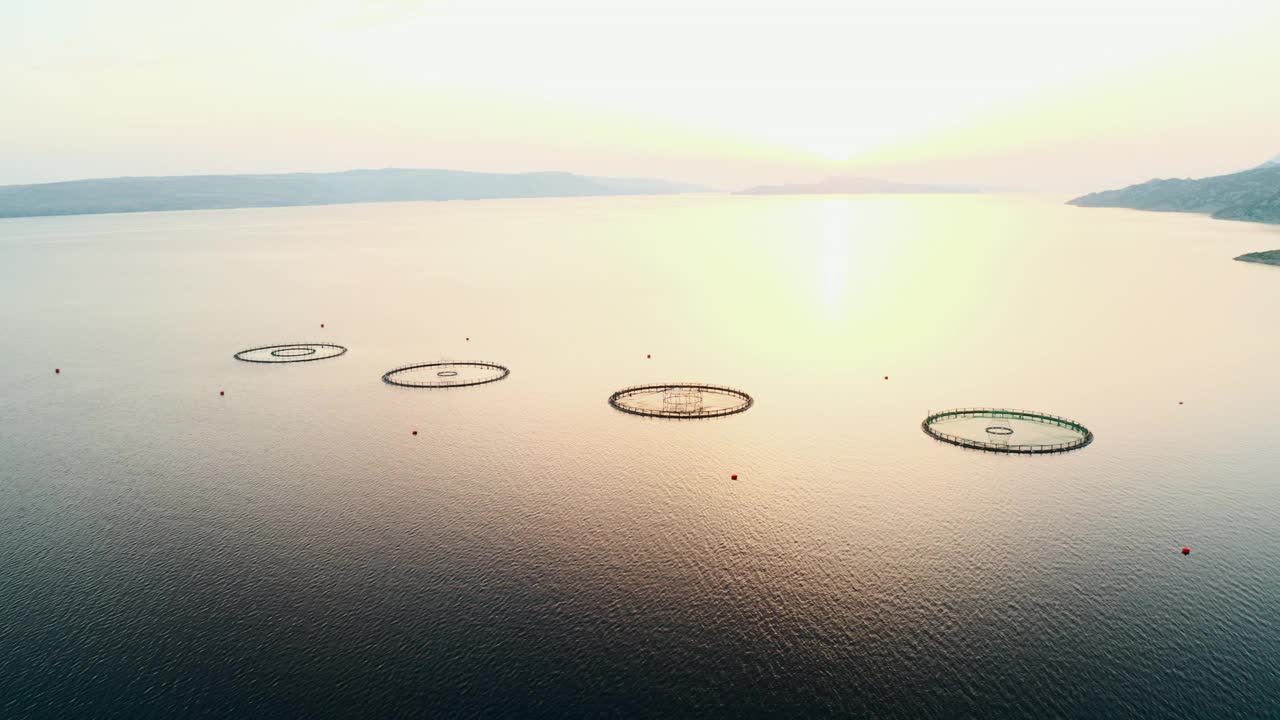 日落时，圆形的渔网漂浮在平静的水面上，在天空中呈现出鲜艳的色彩。视频素材