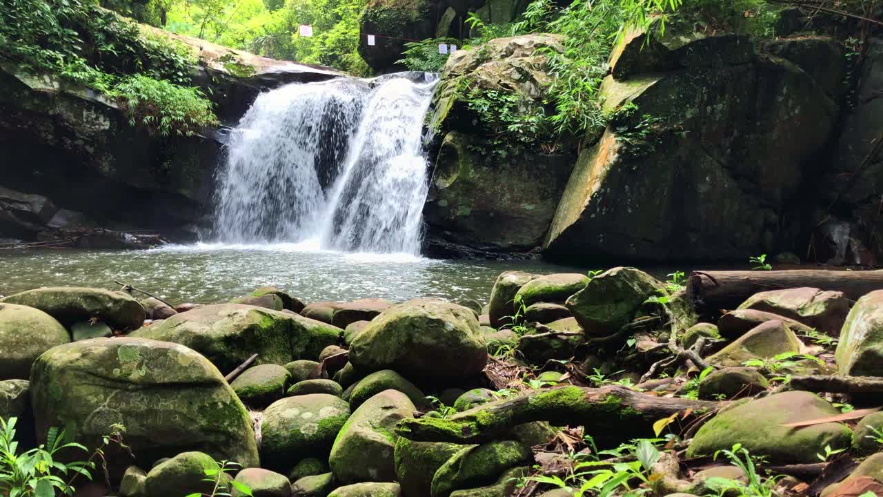 步道上的雨林瀑布和背包中的冒险家徒步旅行者享受热带瀑布视频下载