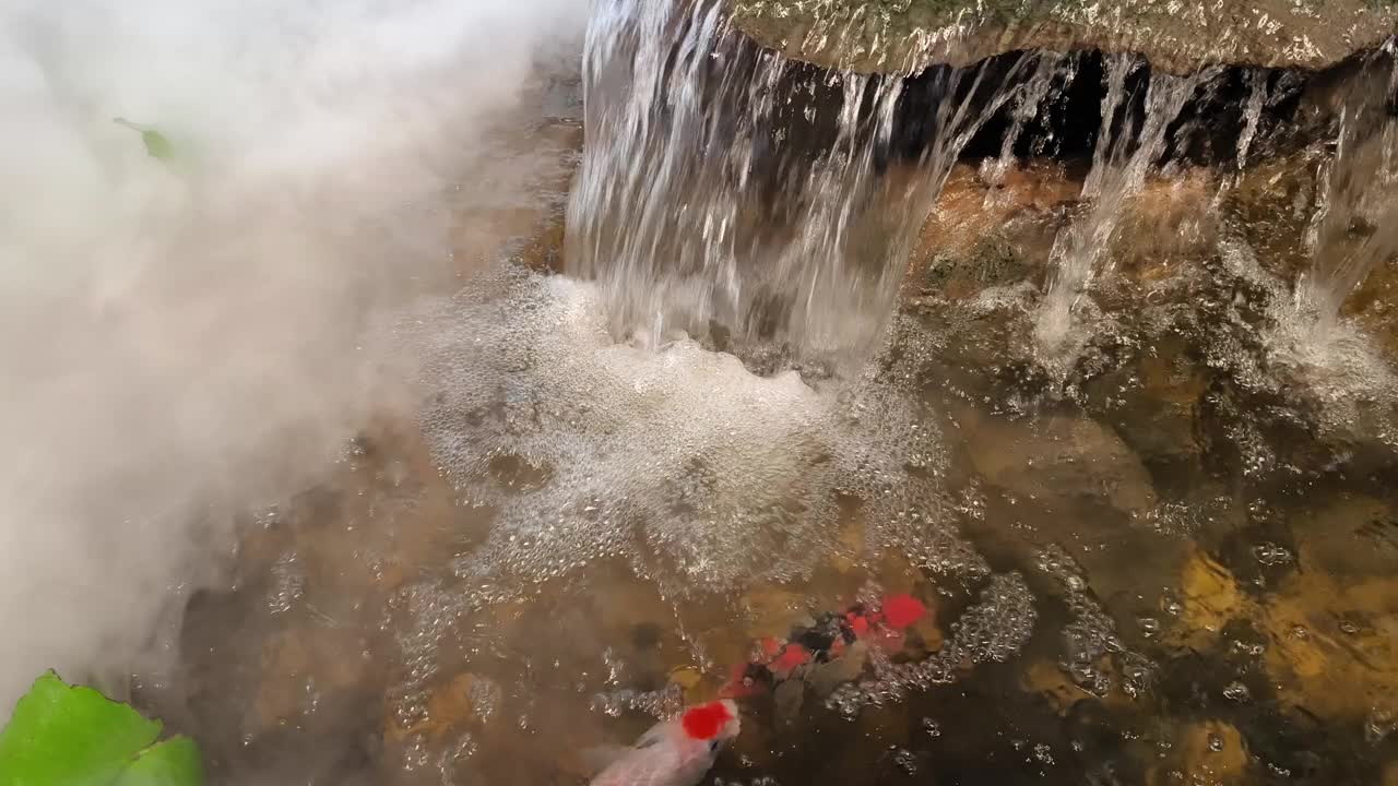 清澈的水从岩石山腰倾泻而下视频下载