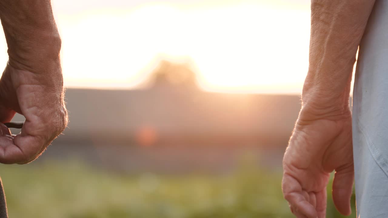 一对老夫妇在夕阳下手拉手分享温柔的时刻视频下载