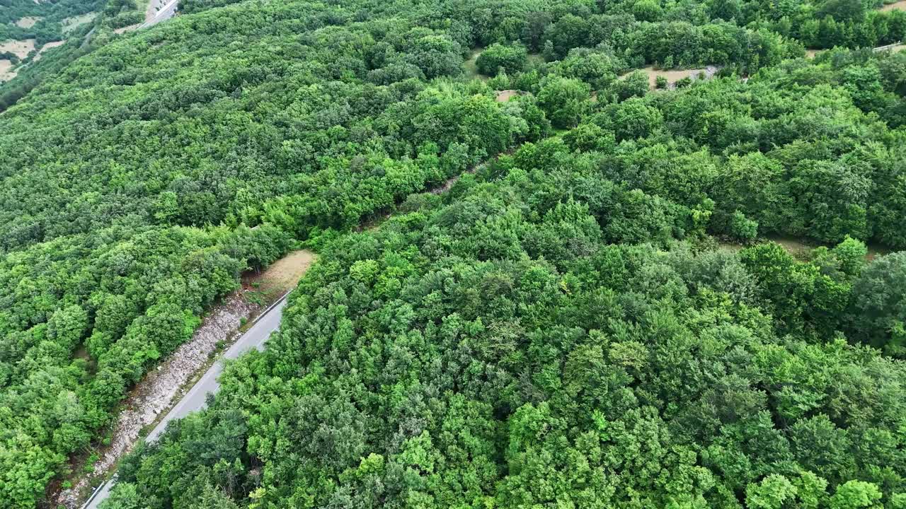 蜿蜒的道路蜿蜒穿过碧蓝天空下郁郁葱葱的森林视频素材