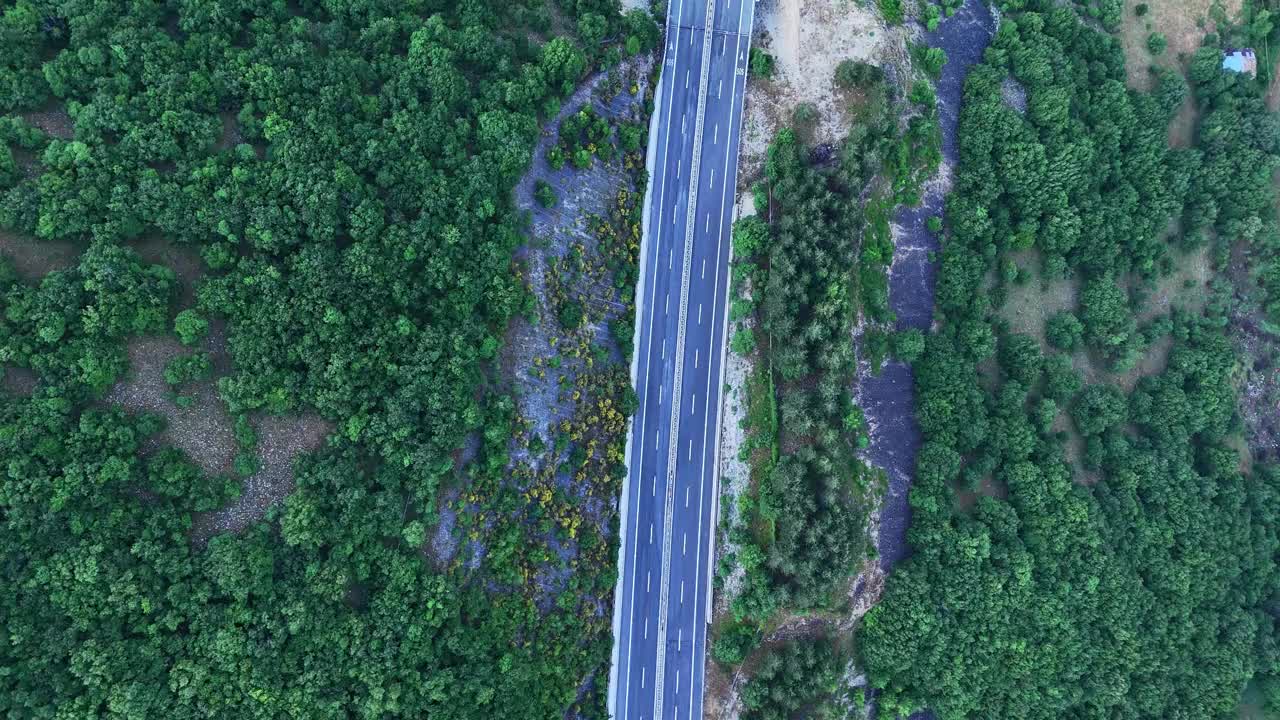 壮丽的鸟瞰公路穿过郁郁葱葱的绿色森林在日出视频素材